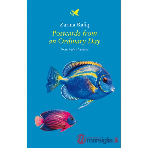 Postcards from an ordinary day