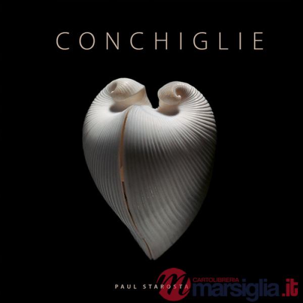 Conchiglie. Ediz. a colori