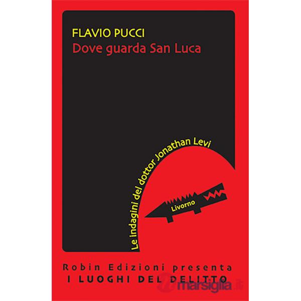 Dove guarda san Luca. Le indagini del dottor Jonathan Levi