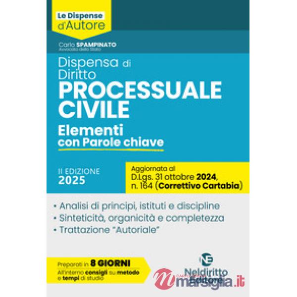 Dispensa di Procedura Civile. Aggiornata al Decreto Correttivo Cartabia D.Lgs. 31 ottobre 2024, n. 164