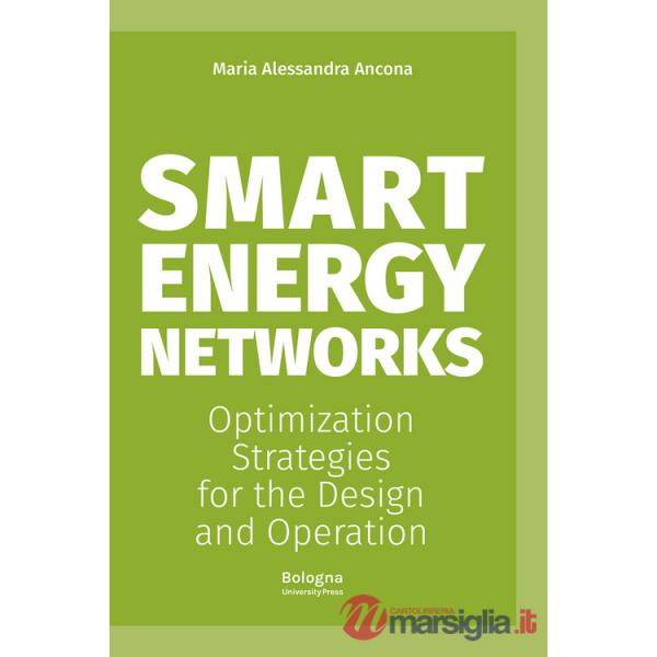 Smart energy networks. Optimization strategies for the design and operation