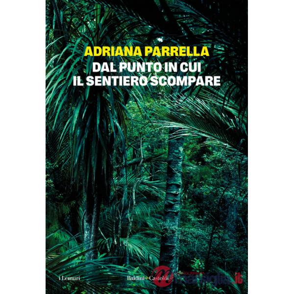 Dal punto in cui il sentiero scompare