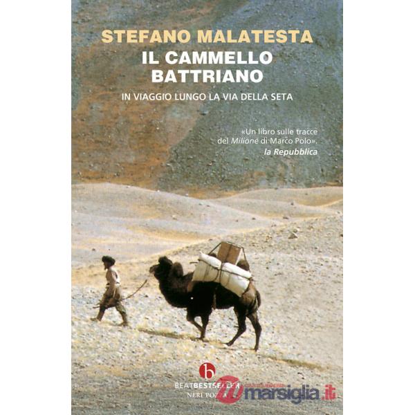 Cammello battriano (Il)