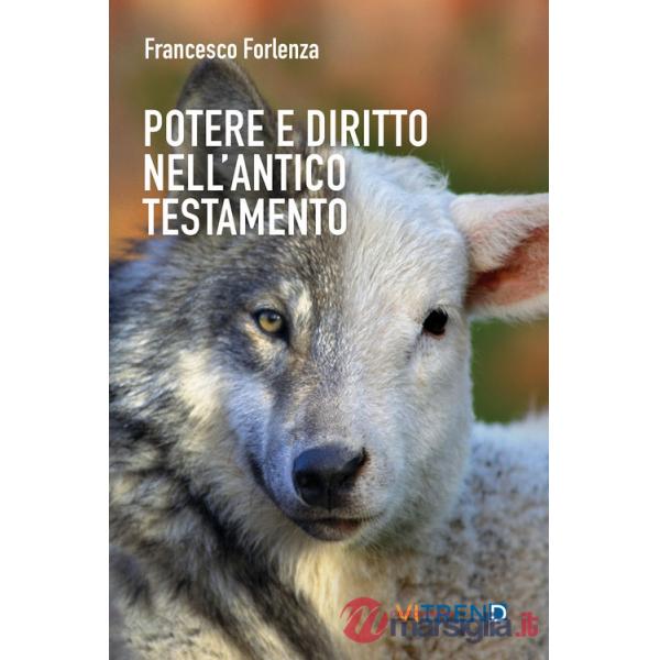 Potere e diritto nell'Antico Testamento. Un itinerario tra la storia e gli istituti del popolo ebraico