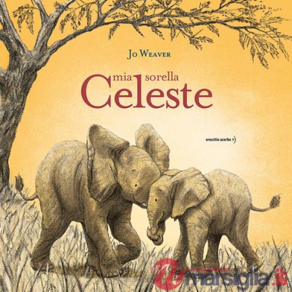 Mia sorella celeste. Ediz. a colori