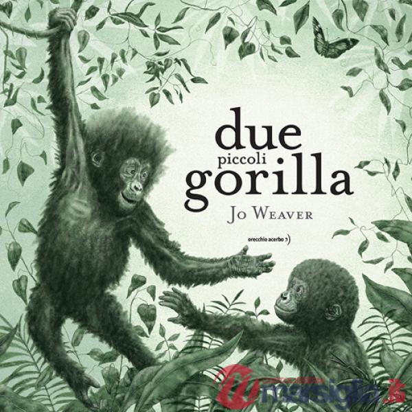 Due piccoli gorilla. Ediz. a colori