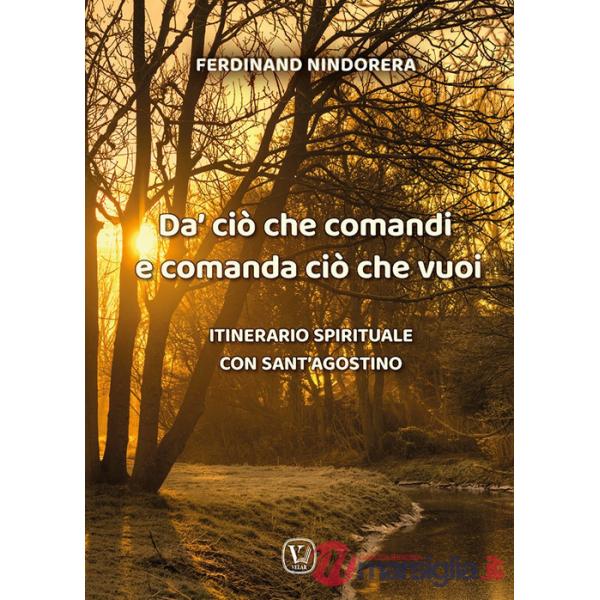 Da' ciò che comandi e comanda ciò che vuoi. Itinerario spirituale con sant'Agostino