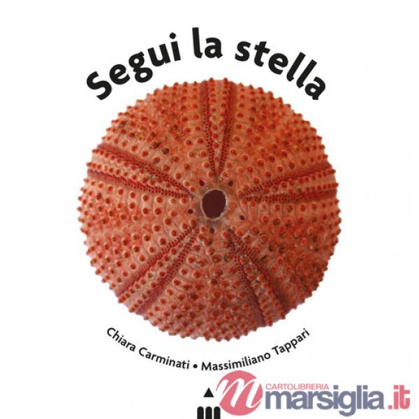 Segui la stella. Ediz. a colori