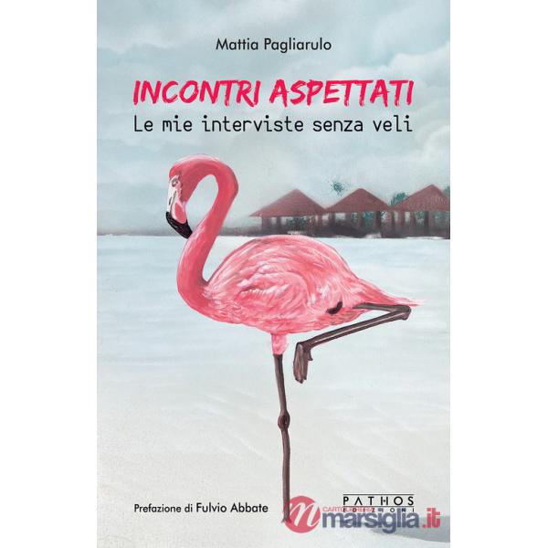 Incontri aspettati. Le mie interviste senza veli
