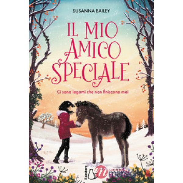 Mio amico speciale. Ci sono legami che non finiscono mai (Il)