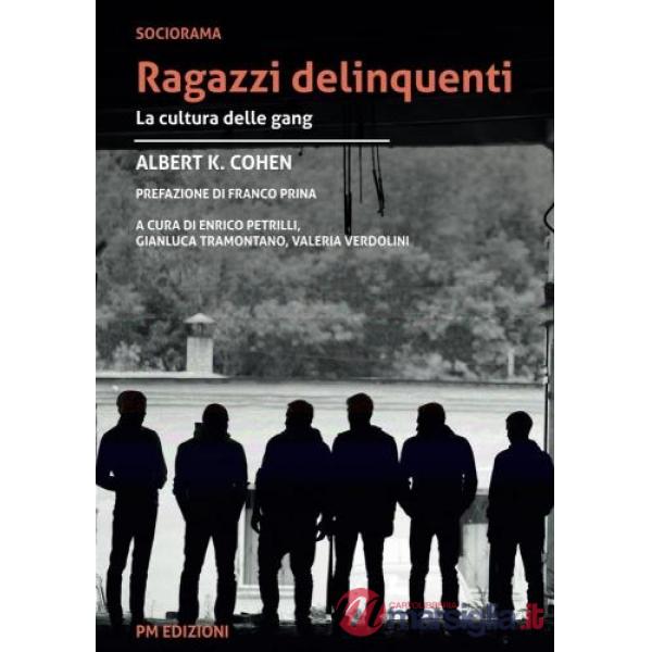 Ragazzi delinquenti. La cultura delle gang