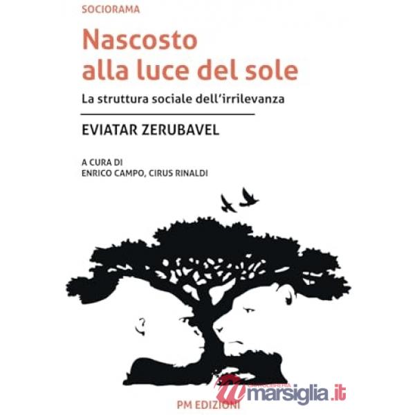 Nascosto alla luce del sole. La struttura sociale dell'irrilevanza