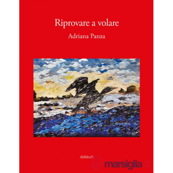 Riprovare a volare