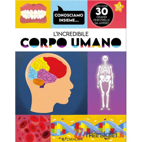 Incredibile corpo umano. Ediz. a colori (L')