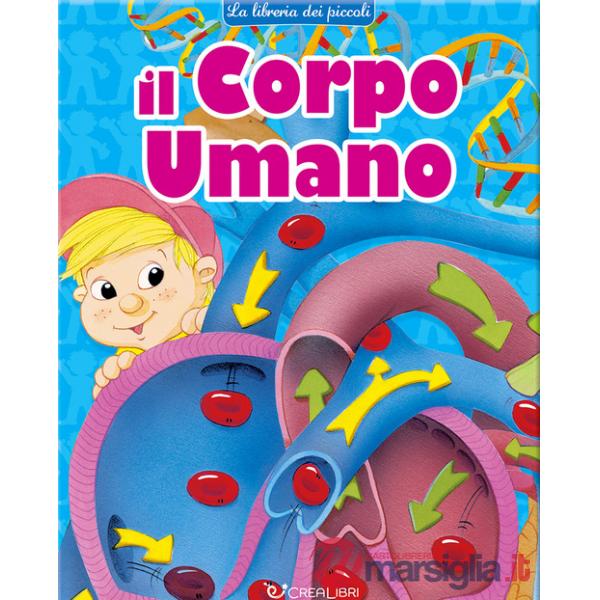 Corpo umano. La libreria dei piccoli. Ediz. a colori (Il)