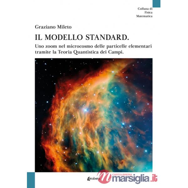 Modello standard. Uno zoom nel microcosmo delle particelle elementari tramite la teoria quantistica dei campi (Il)