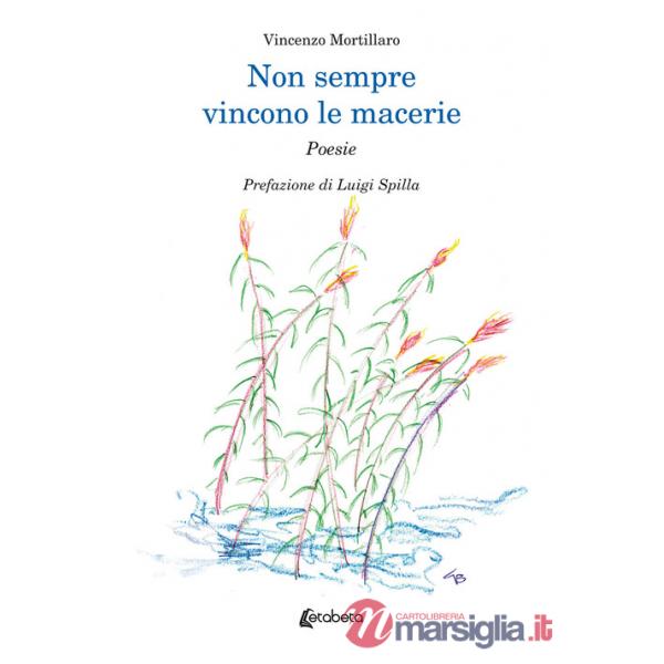 Non sempre vincono le macerie