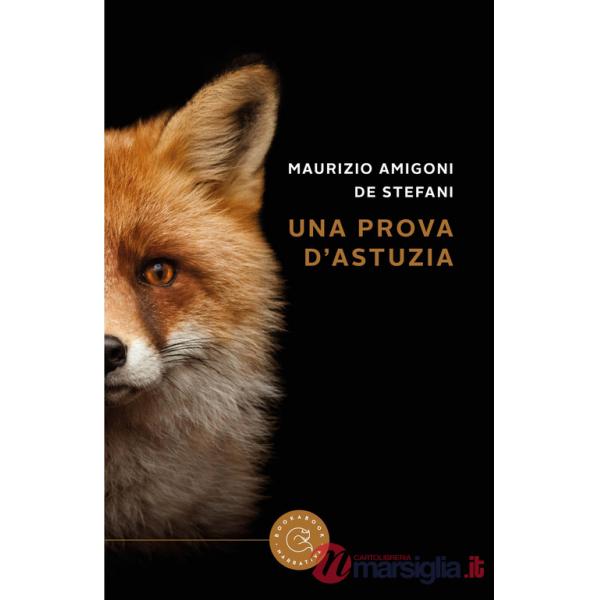 Prova d'astuzia (Una)