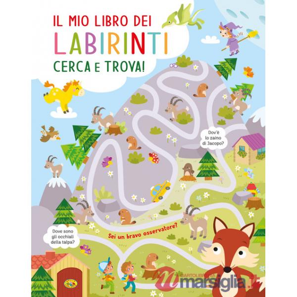 Mio libro dei labirinti. Ediz. a colori (Il)