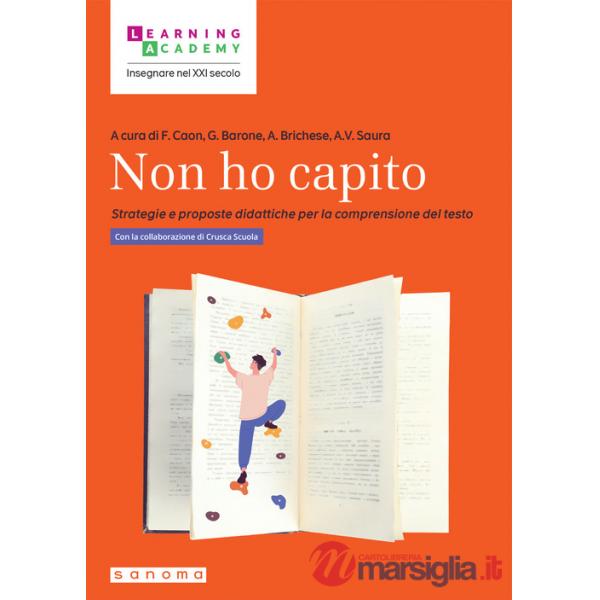 Non ho capito. Strategie e proposte didattiche per la comprensione del testo