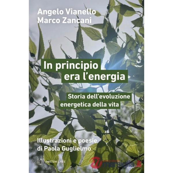 In principio era l'energia. Storia dell'evoluzione energetica della vita