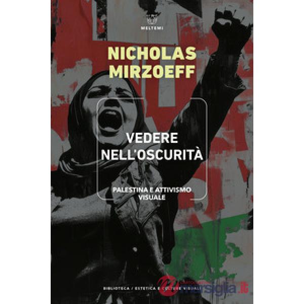 Vedere nell'oscurità. Palestina e attivismo visuale