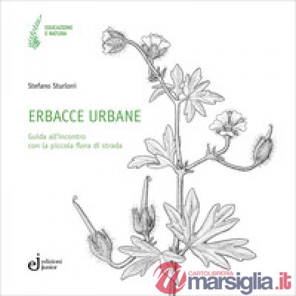 Erbacce urbane. Guida all'incontro con la piccola flora di strada