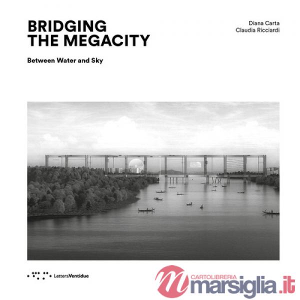 Bridging the megacity. Between water and sky