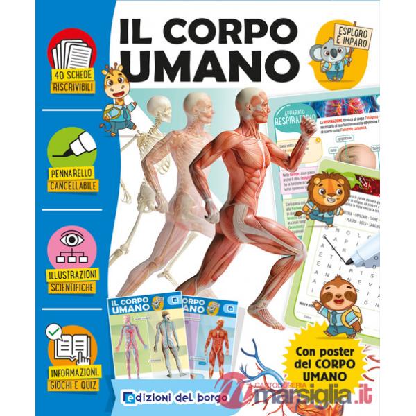 Corpo umano. Esploro e imparo. Ediz. a colori. Con pennarello cancellabile. Con Poster (Il)
