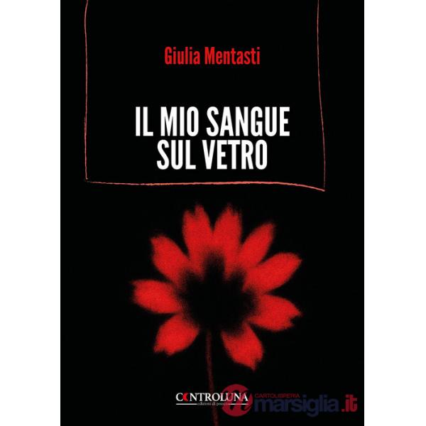 Mio sangue sul vetro (Il)