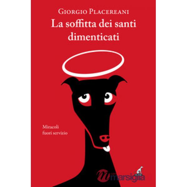 Soffitta dei santi dimenticati (La)