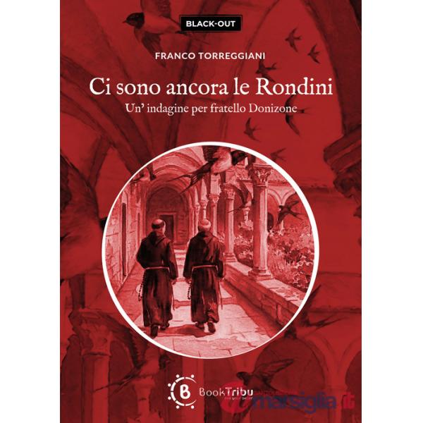 Ci sono ancora le rondini