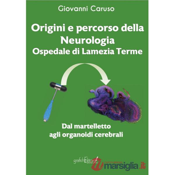 Origini e percorso della neurologia. Ospedale di Lamezia Terme. Dal martelletto agli organoidi cerebrali