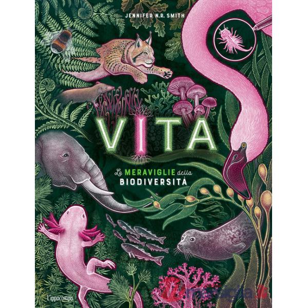 Vita. Le meraviglie della biodiversità. Album scoperte