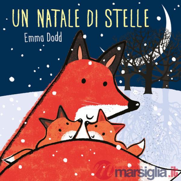 Natale di stelle. Ediz. illustrata (Un)