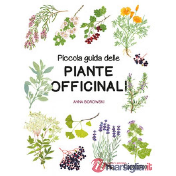 Piccola guida delle piante officinali. Ediz. a colori