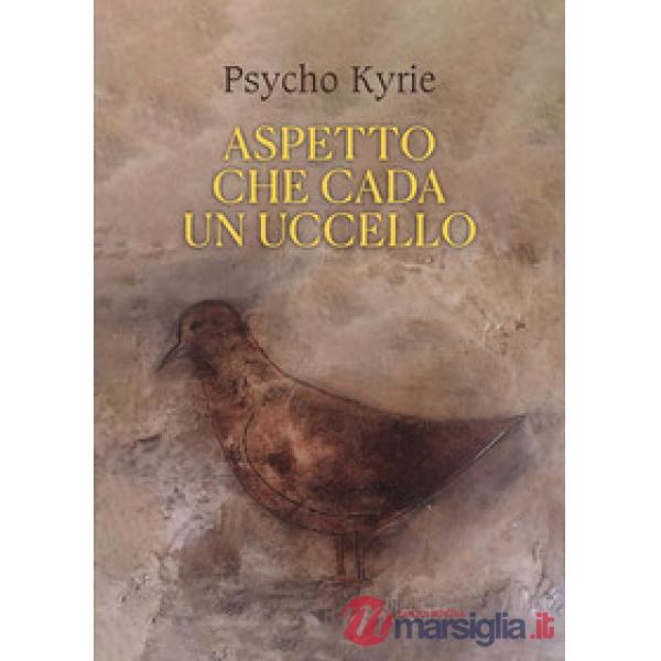 Aspetto che cada un uccello