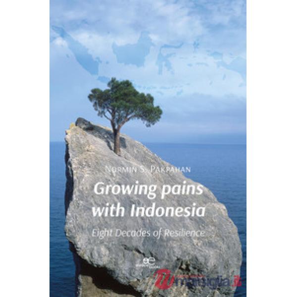Growing pains with Indonesia. Eight decades of resilience