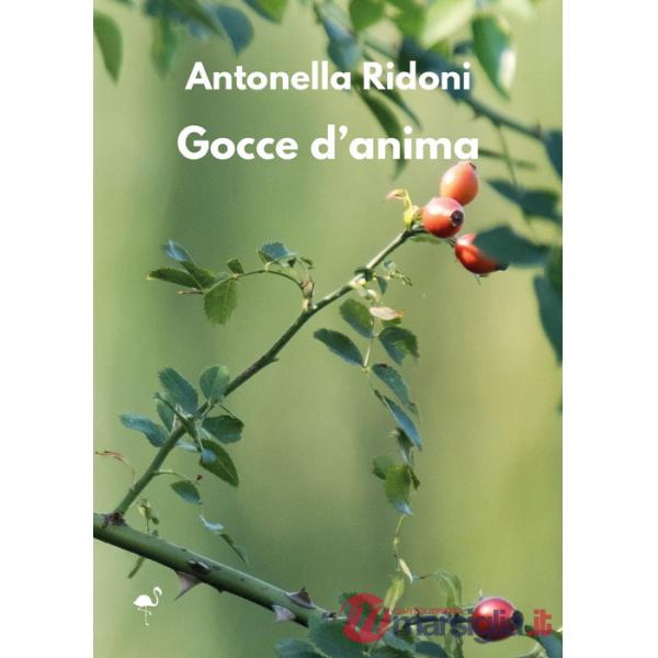 Gocce d'anima