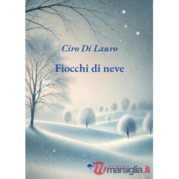 Fiocchi di neve