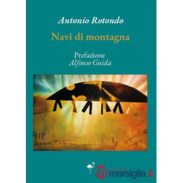 Navi di montagna
