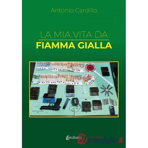 Mia vita da Fiamma Gialla (La)