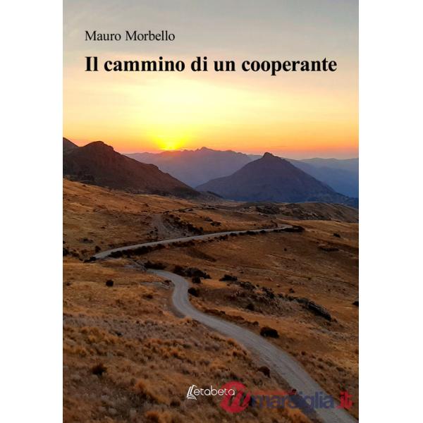 Cammino di un cooperante (Il)