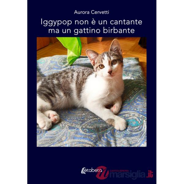 Iggypop non è un cantante ma un gattino birbante