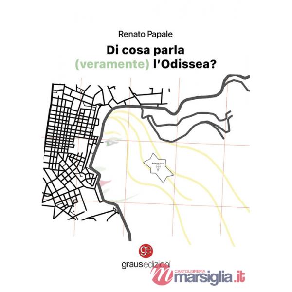 Di cosa parla (veramente) l'Odissea?