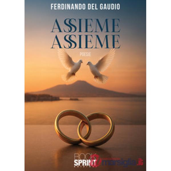 Assieme assieme