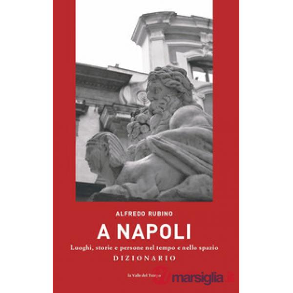 A Napoli. Luoghi, storie e persone nel tempo e nello spazio. Dizionario