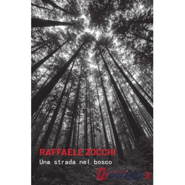 Una strada nel bosco