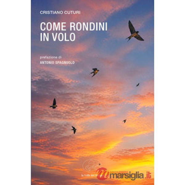 Come rondini in volo