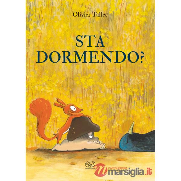 Sta dormendo? Ediz. a colori